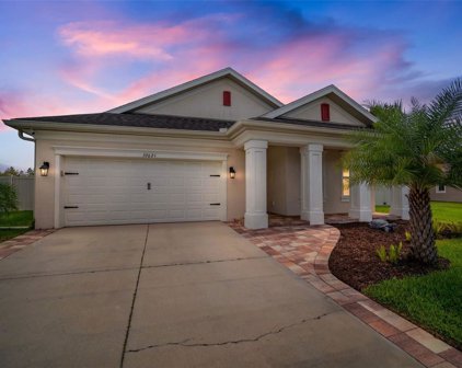 32621 Natural Bridge Road, Wesley Chapel