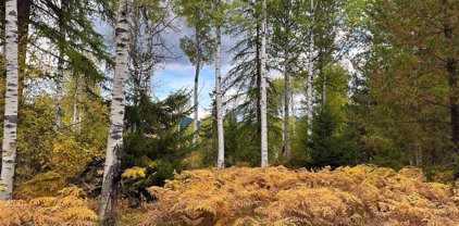 NHN Klister Lane, Trout Creek