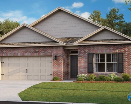 7005 Nw Straightway Court, Huntsville