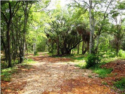 1960 Folly Road, Folly Beach
