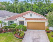 4710 Blue Diamond Street, Kissimmee image
