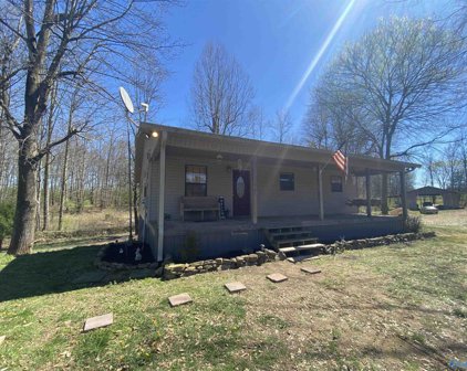 2984 County Road 46, Dawson