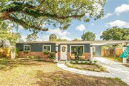 215 W 103rd Avenue, Tampa image