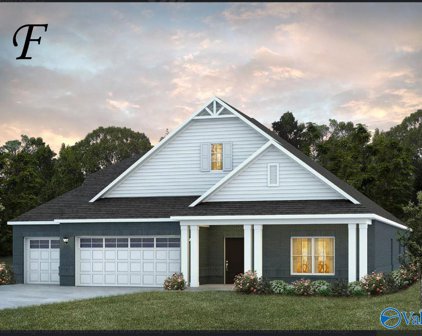 14969 Willow Rose Lane, Athens