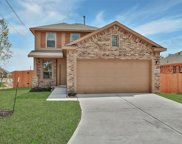 15327 Willie Mays Court, Splendora image