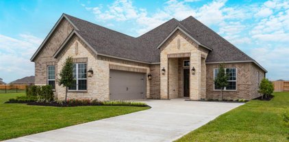 2215 Tioga View Drive, Iowa Colony