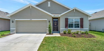 31443 Penny Surf Loop, Wesley Chapel