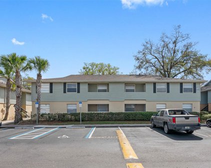518 Golden Raintree Place Unit 518, Brandon