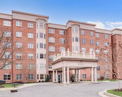 8002 Brynmor   Court Unit #105, Baltimore
