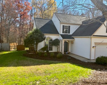 135 Creekside  Drive, Fort Mill