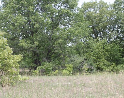 Parcel D Bosschem, Wellston