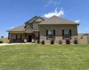 223 Liz Lane, Harvest image