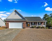 110 Dolphin Drive, Raeford image