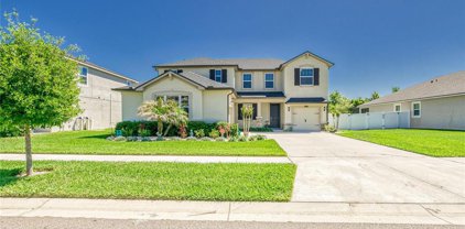 12211 Streambed Drive, Riverview