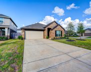 14207 Amhearst Meadow Trail, Rosharon image