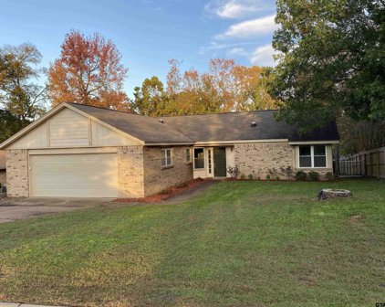 4620 Ponderosa Trail, Tyler