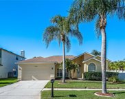 11404 Whispering Hollow Dr, Tampa image