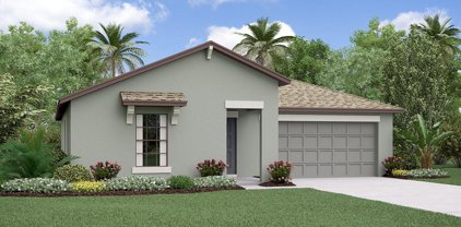 5359 Blue Horizon Way, Wimauma