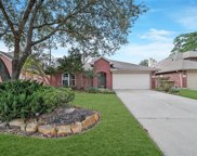16403 Mossy Grove, Humble image