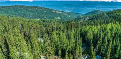 NNA Snag Line Lot 57, Sandpoint