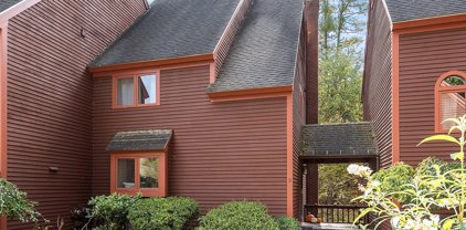 2 Adams Ln Unit -, Westford