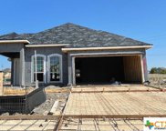 4811 Park Leaf, Schertz image