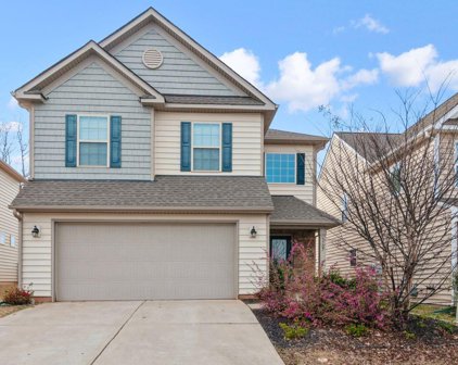 1727 Trentwood  Drive, Fort Mill