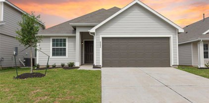 5434 Brooklyn Rose Drive, Rosharon