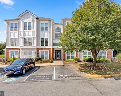 9801 Feathertree Ter Unit #201, Montgomery Village
