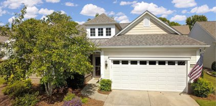 48427 Snap Dragon  Lane, Indian Land