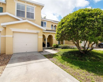 2529 Colony Reed Lane, Clearwater