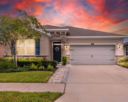 1135 Pipestone Place, Wesley Chapel