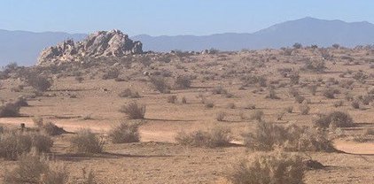 Violet, El Mirage