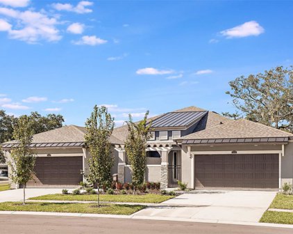 335 Villa Corte Drive, Lutz