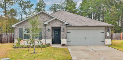 18261 Cascadia Mill Court, Montgomery