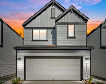 12233 City Rose Court, Houston