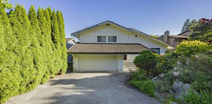 313 Hickey Drive, Coquitlam