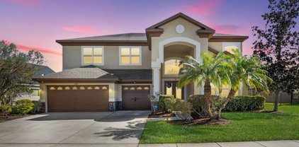 4806 Royal Birkdale Way, Wesley Chapel