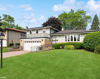 420 S Dale Avenue, Arlington Heights