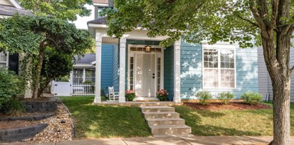 314 Center  Drive, Davidson