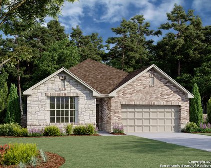 295 Sonata Canyon, Spring Branch