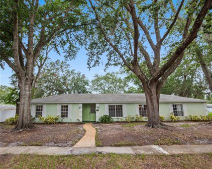 1917 Wyandotte Trail, Casselberry