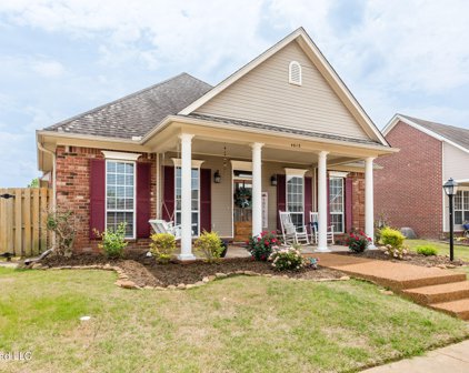 4613 Stone Grove Drive, Olive Branch