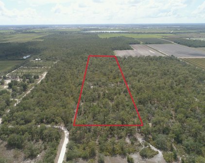 Taylor Drive, Lakewood Ranch