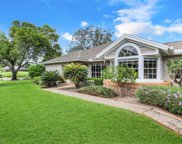 Estero image