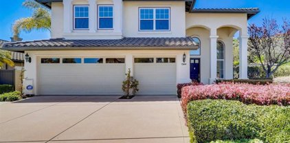 7309 Golden Star Lane, Carlsbad