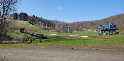 131-136 Woods Rd-The Woods, Ellicottville-043689