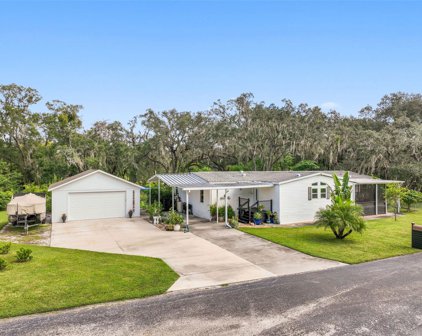 9171 Wood Terrace Drive, Tampa