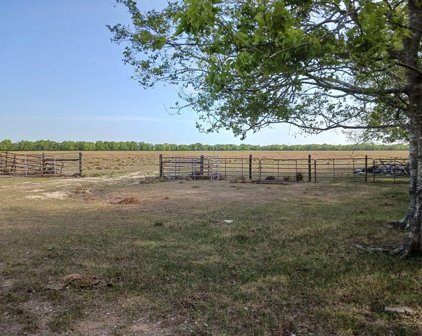 75 ACRES County Road 47, Angleton