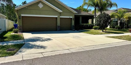 12117 Streambed Drive, Riverview